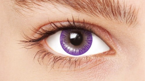 HVC141-EYE.jpg