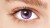 HVC141-EYE.jpg