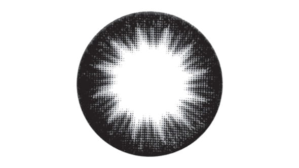 2PA110.jpg