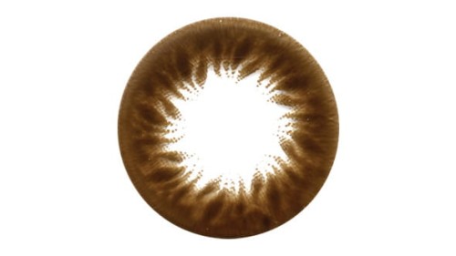 65B120.jpg