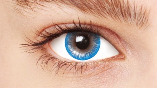 HVC161-EYE.jpg