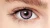 KJD_440_O.webp