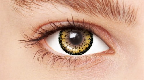 BMA221_eye.jpg