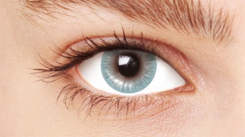 HVC111-EYE.jpg