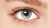 HVC111-EYE.jpg