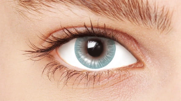 HVC111-EYE.jpg