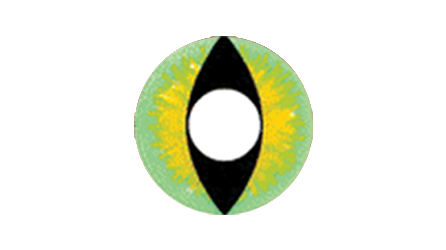 A183.png