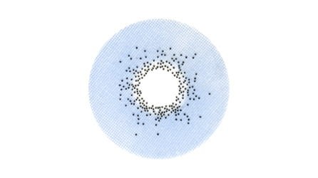 STD260.jpg